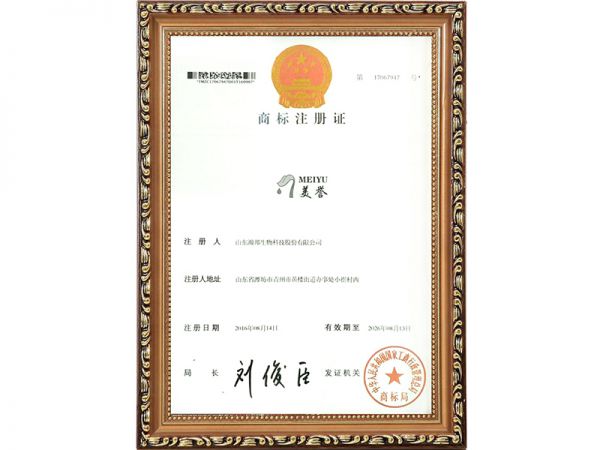 資質證書